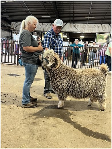 Back Corner Farm�s Kris Nolan with Champion White Buck, Get Back Jack, and Judge Culver. Photo: Sharon Chestnutt.